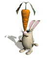 bunny_balancing_md_wht